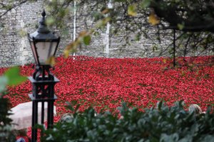 Blood Swept Lands and Seas of Red, Tower of London, 2014.