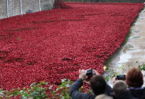 Blood Swept Lands and Seas of Red, Tower of London, 2014.