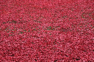 Blood Swept Lands and Seas of Red, Tower of London, 2014.