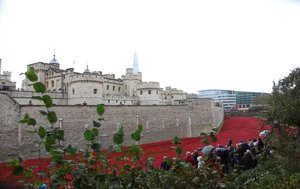 Blood Swept Lands and Seas of Red, Tower of London, 2014.