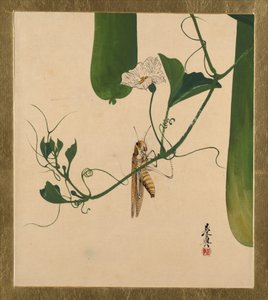  tekijältä Shibata Zeshin