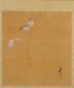 Moths from the Album of Paintings by the Venerable Zeshin tekijältä Shibata Zeshin
