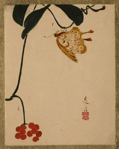  tekijältä Shibata Zeshin