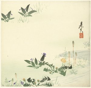 Kevätkukkia puron varrella tekijältä Shibata Zeshin