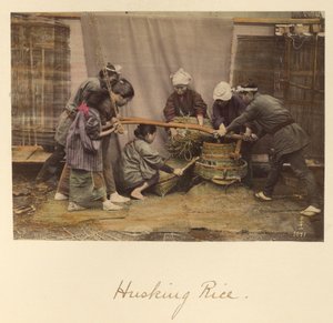 Riisin kuoriminen