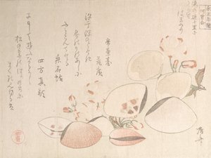 Kirsikankukat ja kuoret, 1800-luku, 1800-luku. tekijältä Shinsai
