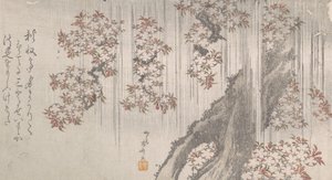 Kirsikankukkia sateessa, 1800-luku, 1800-luku. tekijältä Shinsai