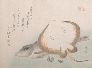 Stingray ja Gurnard, luultavasti 1815, luultavasti 1815. tekijältä Shinsai