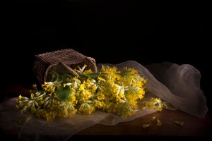 Hienovarainen kevätkukka-asetelma tekijältä Silvija Danelsone