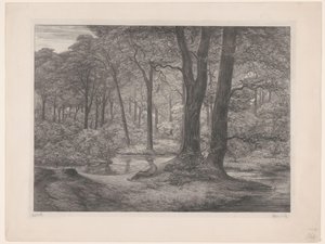 Bosc amb estany i home jacent Bosc de Teutoburg (vista del bosc) (títol original) acabat