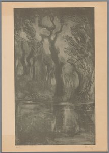 Vesi metsässä Dream Forest (alkuperäinen nimi) tekijältä Simon Moulijn (signed by artist)