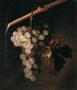Kivimuurien edessä riippuva viinirypäleterttu, 1709