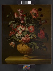 Maljakko kukkia, ennen vuotta 1710 tekijältä Simon Peeterz Verelst