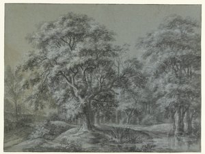 Metsämaisema vedellä tekijältä Simon de Vlieger