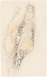 Tupsu tekijältä Sir David Wilkie