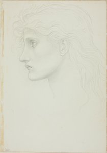 Tytön pää vasen tekijältä Sir Edward Burne Jones