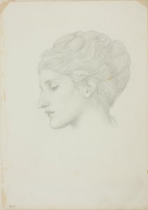 Naisen pää profiilissa vasemmalle tekijältä Sir Edward Burne Jones