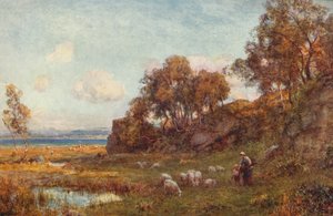 Suojaiset laitumet, c1900