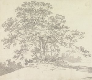 Puu tekijältä Sir George Howland Beaumont seventh Baronet