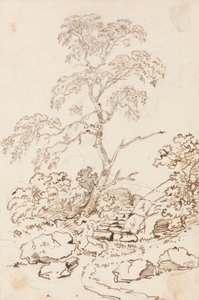 Puu askeleelta tekijältä Sir George Howland Beaumont seventh Baronet