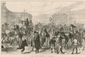 Islingtonin hevostori tekijältä Sir John Charles Robinson