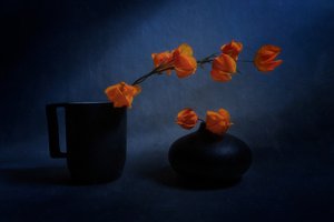 Syksyinen lyhty-asetelma tekijältä Siyu_Wei APA