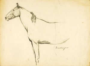 Hevonen tekijältä Solon H. Borglum