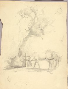 Hevoset ja puu tekijältä Solon H. Borglum