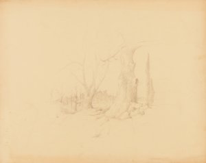 Maisema tekijältä Solon H. Borglum
