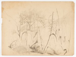 Maisema tekijältä Solon H. Borglum