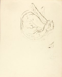 Uimari tekijältä Solon H. Borglum