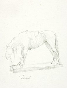 Kesytetty tekijältä Solon H. Borglum