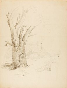 Untitled tekijältä Solon H. Borglum