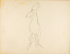 Untitled tekijältä Solon H. Borglum