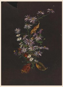 Syksyn kimppu, n. 1890