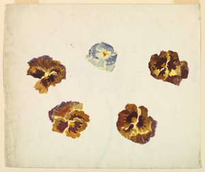Recto tekijältä Sophia L. Crownfield