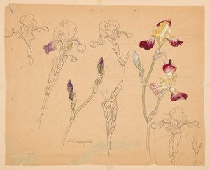 Iriksen tutkimukset tekijältä Sophia L. Crownfield