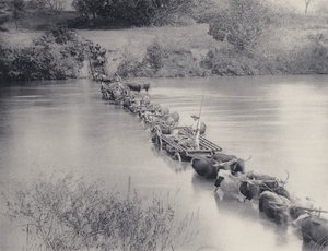 Kuinka joet ylitetään Transvaalissa (m/w kuva) tekijältä South African Photographer