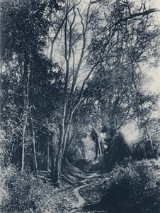 Kohtaus Lydenburgin alueella (m/w kuva) tekijältä South African Photographer