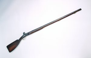 Bobbejaanbout (paviaani reisipeppu) musketti