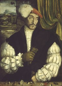 Miehen muotokuva, 1533