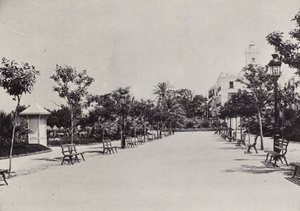 Cadiz: Alameda de Apodaca (m/w kuva)