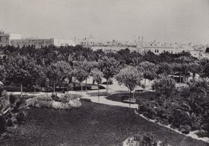 Cadiz: Parque Genoves (m/w kuva) tekijältä Spanish Photographer