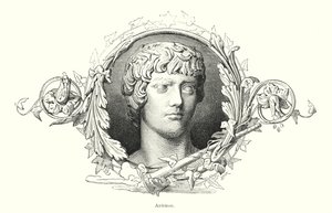 Antinous, Bithnyian kreikkalainen nuoriso ja Rooman keisari Hadrianuksen suosikki (litho) tekijältä Spanish School