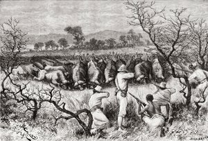 Metsästyspuhveli Keski-Afrikassa 1800-luvun lopulla, "Africa Pintoresca", julkaistu 1888 tekijältä Spanish School
