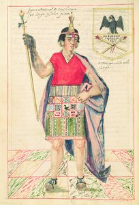 Kuva Cincherocasta, teoksesta "Historia y Genealogia Real de los Reyes Incas del Peru, de sus hechos, costumbres, trajes y manera de Gobierno", joka tunnetaan nimellä Codice Murua tekijältä Spanish School