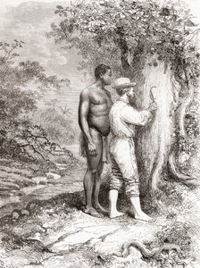 Jules Crevaux tutkiessaan Ranskan Guayanaa vuonna 1878 kaivertaessaan nimikirjaimia puuhun Oyapock- tai Oiapoque-joen rannalla tekijältä Spanish School