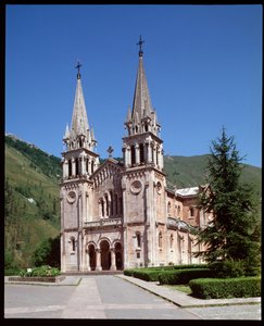Näkymä basilikaan tekijältä Spanish School
