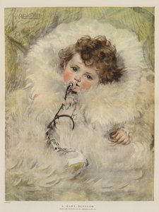 Baby Blossom (chromolitho)