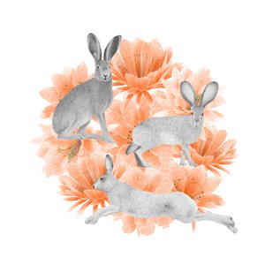 Jack Rabbits, 2021 (grafiittikynä ja digitaalinen)